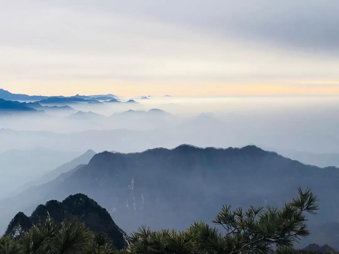微雨随云收，不知云海深——云海奇观，白云山归不看云！