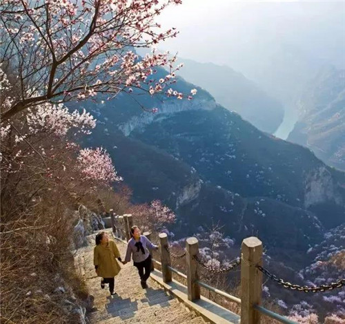 三月踏青季，青天河邀您乘船、爬山、赏花、徒步...