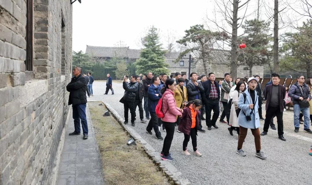 春暖花开，踏青赏花，台儿庄古城迎来初春旅行小高峰