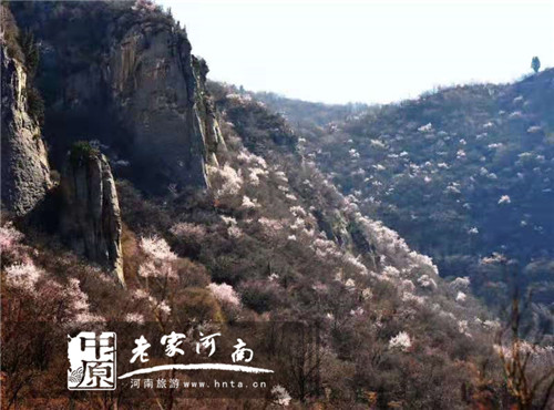 巩义青龙山慈云寺第六届桃花祈福文化节暨万人徒步大会