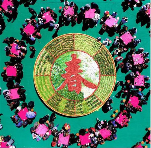 早春第一口鲜——老君山咬春宴等你来！
