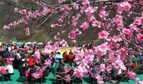 早春第一口鲜——老君山咬春宴等你来！