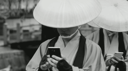来秋沟！看3D立体山桃花海！