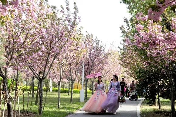 绿博园：2019春季问花节3月30日开幕