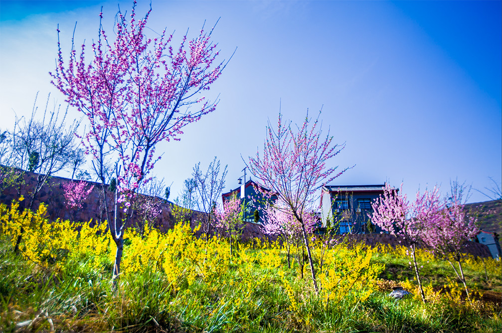 第二届大熊山踏青季开幕式圆满举行
