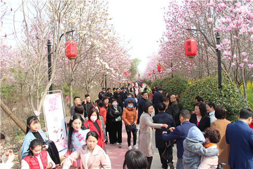 “浪漫花都,樱你而美”第三届唐韵樱花节盛大开幕! “浪漫花都,樱你而美”第三届唐韵樱花节盛大开幕!