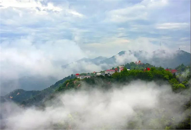 春山新雨后，鸡公山惊现云海仙境