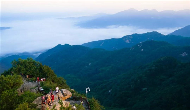 春山新雨后，鸡公山惊现云海仙境