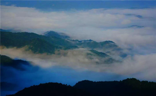 春山新雨后，鸡公山惊现云海仙境