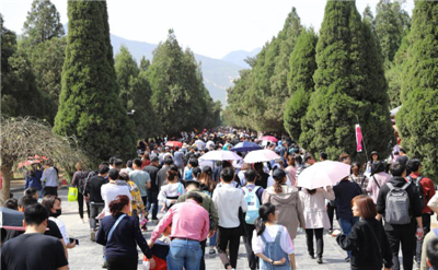 18万游客清明踏青嵩山,共赏少林樱花武 18万游客清明踏青嵩山,共赏少林樱花武