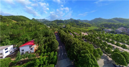 风雨二十六载，河南省鸡冠洞旅游发展有限公司挂牌成立！
