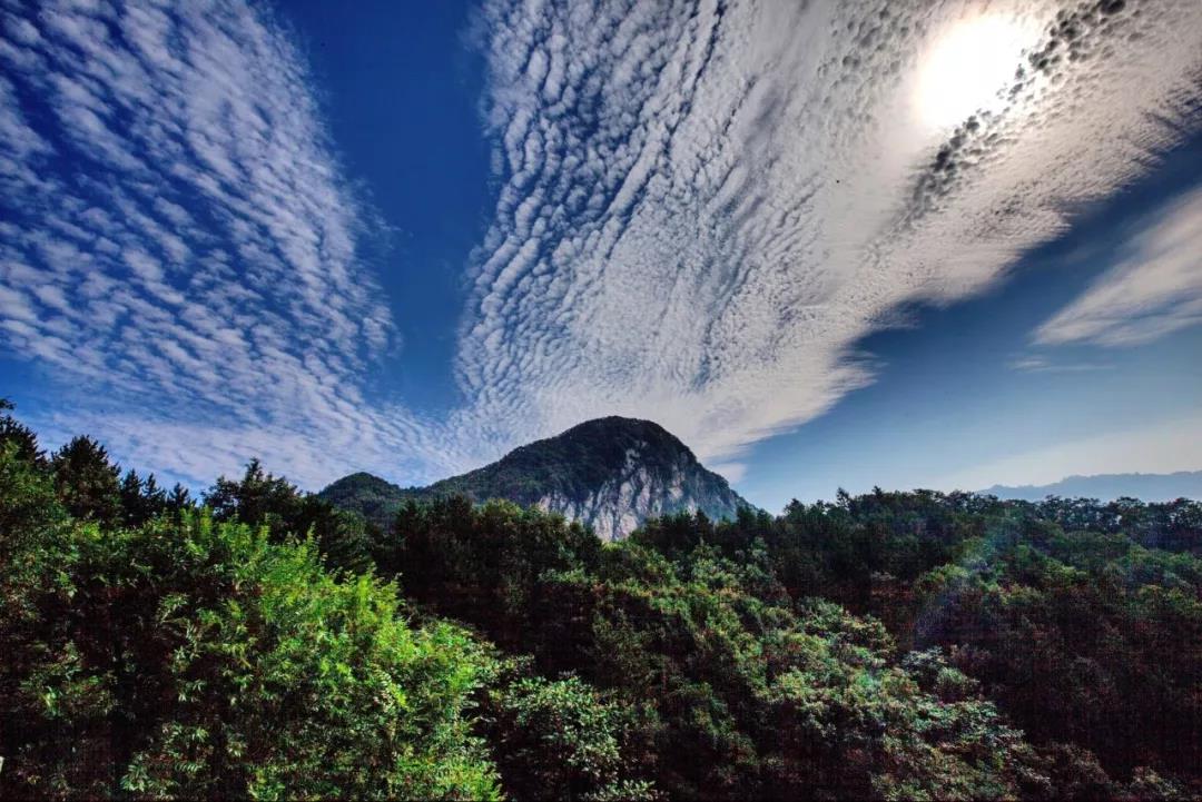 走进自然，回归童年——洛阳白云山森林童趣运动会