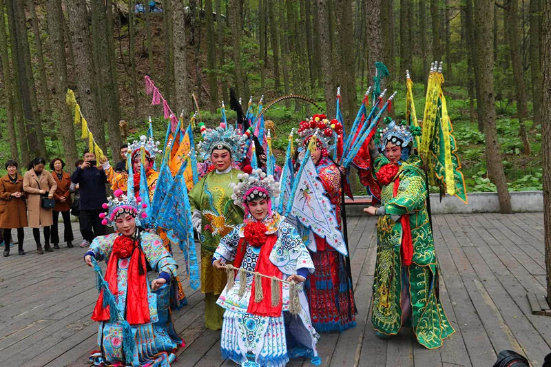 龙峪湾：2019年首届云巅杜鹃花节圆满落幕