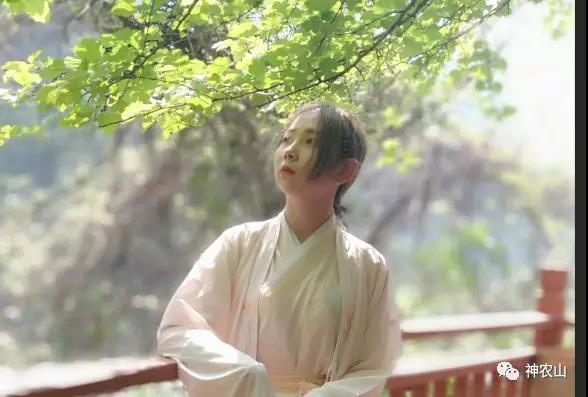 5.19中国旅游日，神农山免门票啦！！！
