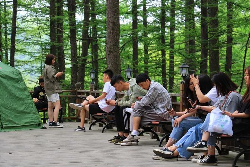 避暑圣地龙峪湾 放“粽”一夏 清凉过端午