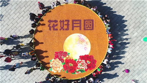 入选旅游行业教科书，老君山到底有多牛？
