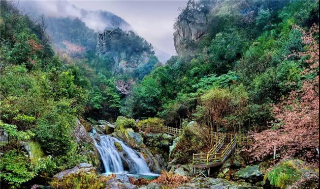 开夏旅行去哪儿玩？龙津溪地这个最全打卡地，您来过了吗？