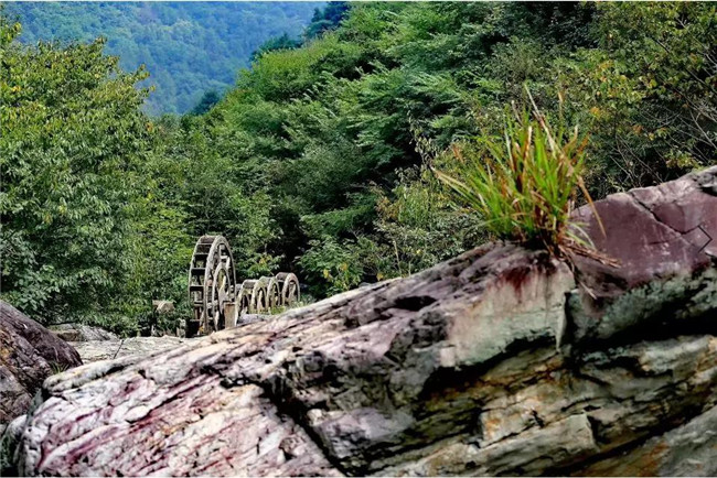 开夏旅行去哪儿玩？龙津溪地这个最全打卡地，您来过了吗？