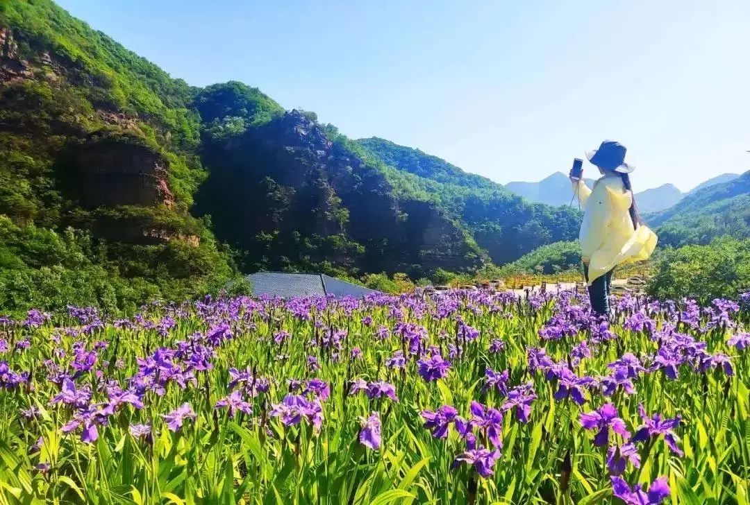 欢乐一夏游，尽在九峰山