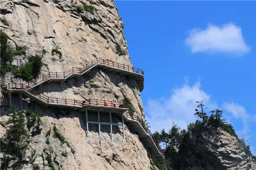 森林里的音乐狂欢节，山水画廊龙峪湾 夏季清凉约起来！