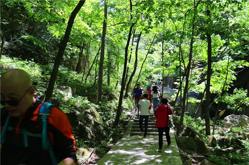 森林里的音乐狂欢节，山水画廊龙峪湾 夏季清凉约起来！