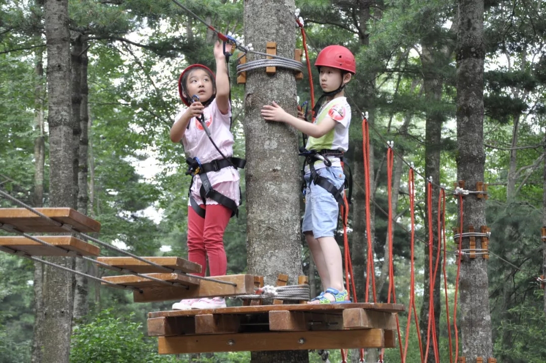 洛阳白云山旅游度假区成功入选首批“洛阳市研学旅行基地”