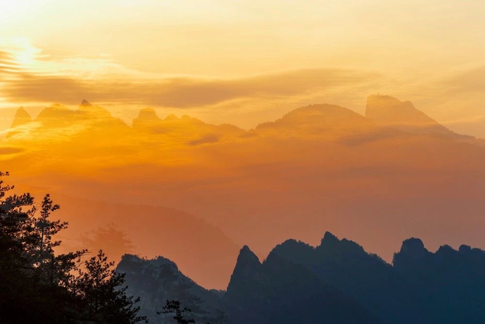 昨天进中伏，今日又大暑，这个“桑拿天”你准备好了？