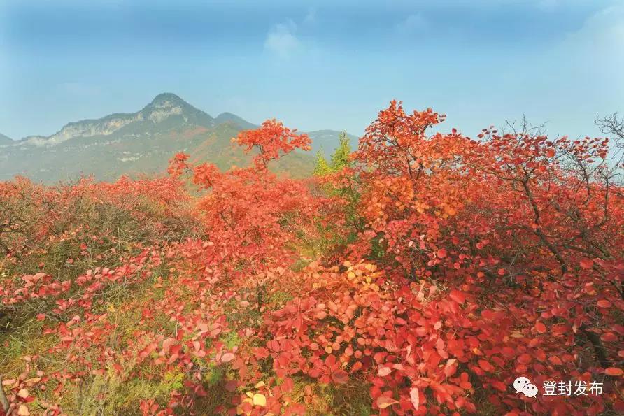 【音频】诗歌《红叶》 嵩山美景 红叶最浓