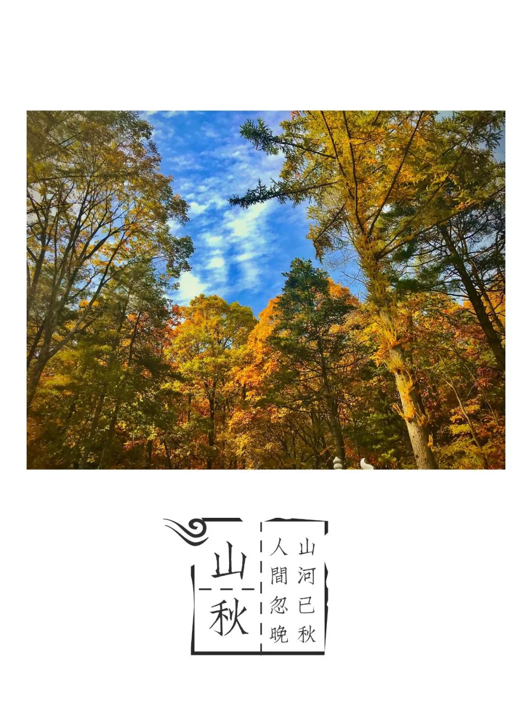 洛阳白云山广场舞决赛重燃芳华 洛阳白云山广场舞决赛重燃芳华