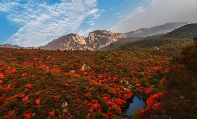不仅仅有嵩山！登封推进“六美”建设要当美丽之城