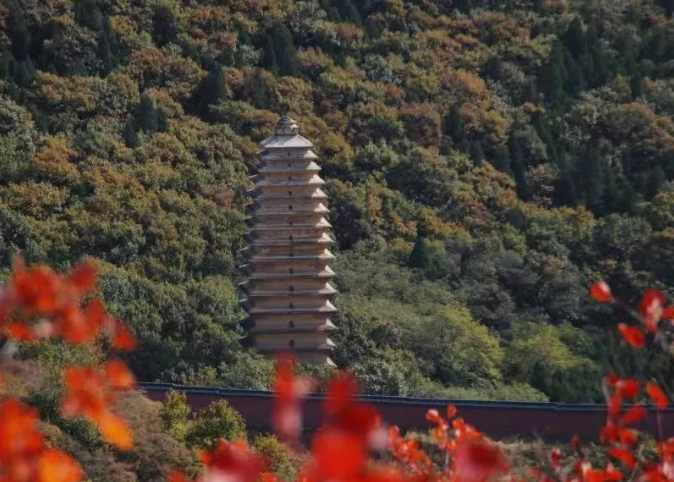 不仅仅有嵩山！登封推进“六美”建设要当美丽之城