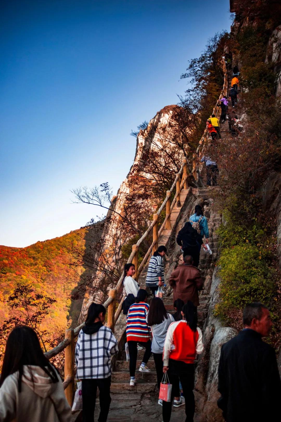 游嵩山、赏红叶、观大典，这样的“绝色”怎能错过！