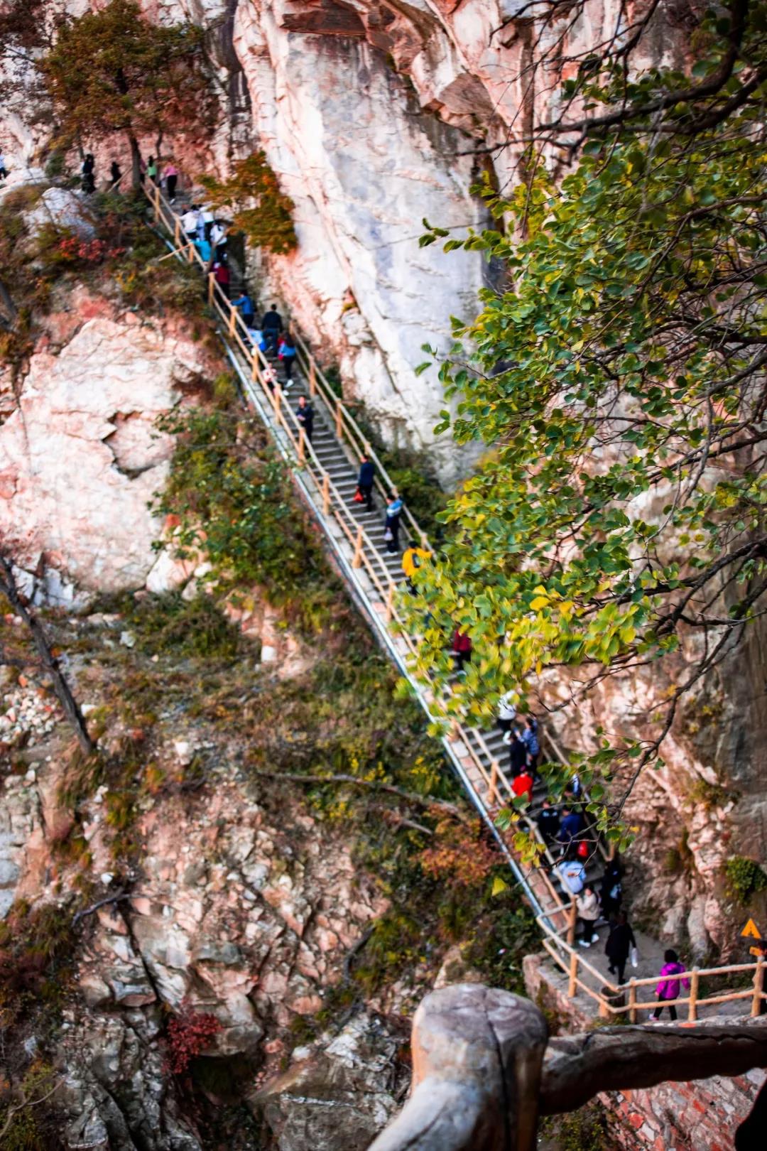 游嵩山、赏红叶、观大典，这样的“绝色”怎能错过！