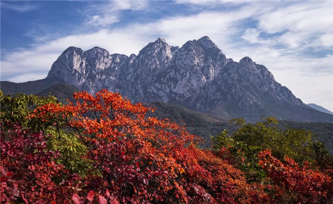 游嵩山、赏红叶、观大典，这样的“绝色”怎能错过！
