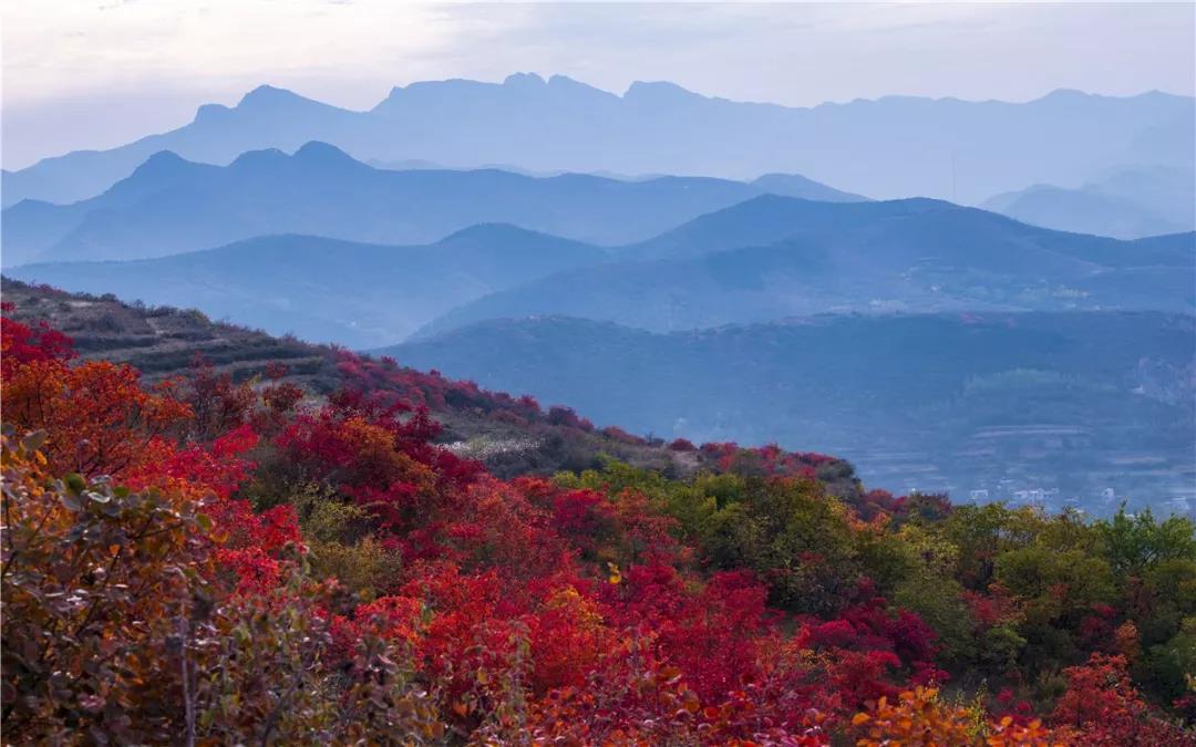 游嵩山、赏红叶、观大典，这样的“绝色”怎能错过！