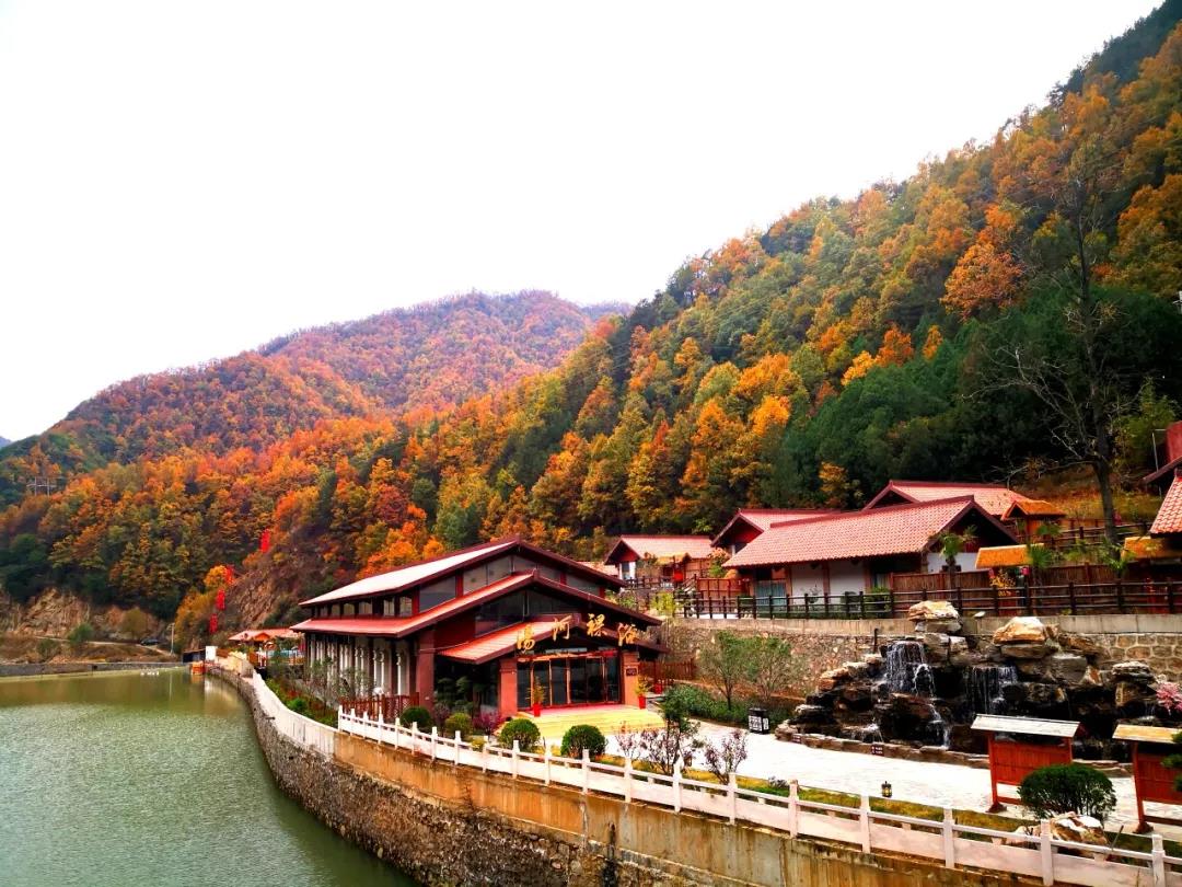 汤河首届“红叶温泉节”炫丽开幕，进店有礼，这些人还能免费泡温泉！