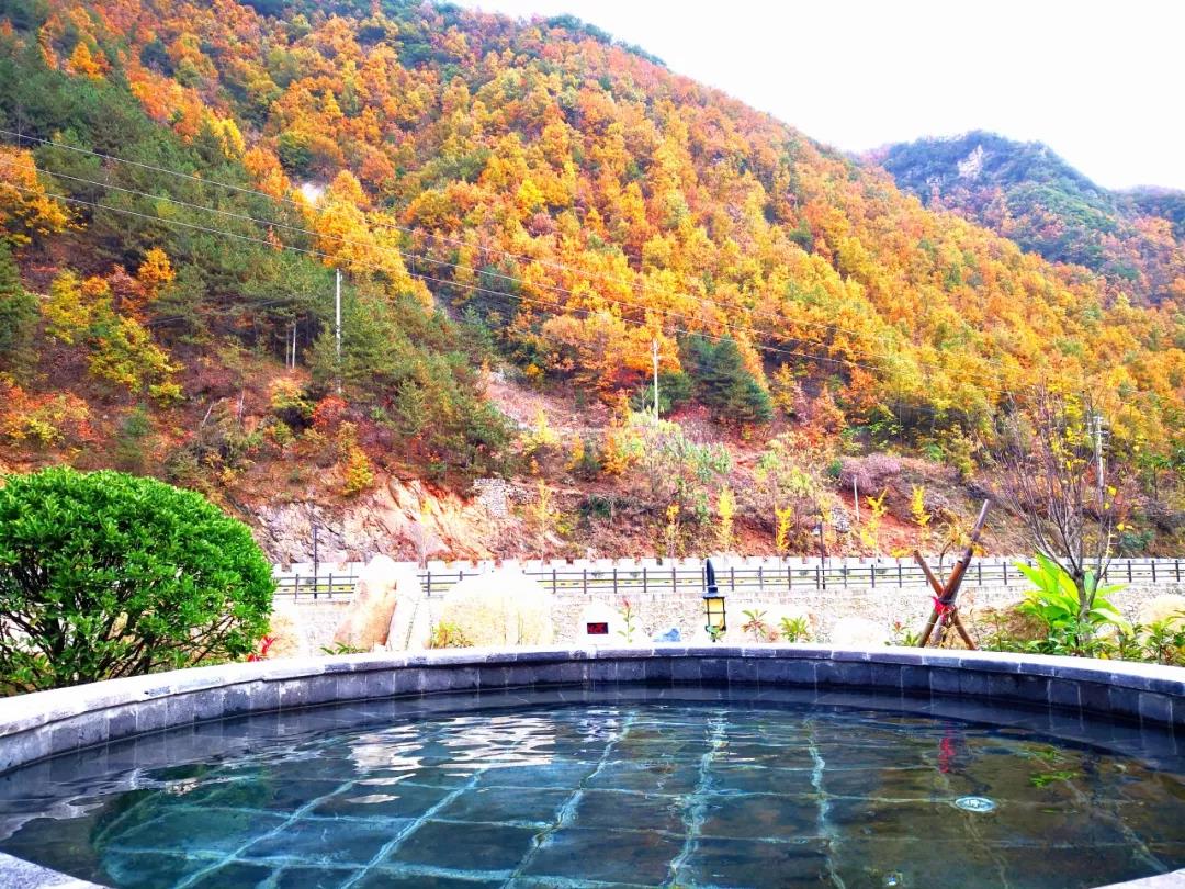 汤河首届“红叶温泉节”炫丽开幕，进店有礼，这些人还能免费泡温泉！
