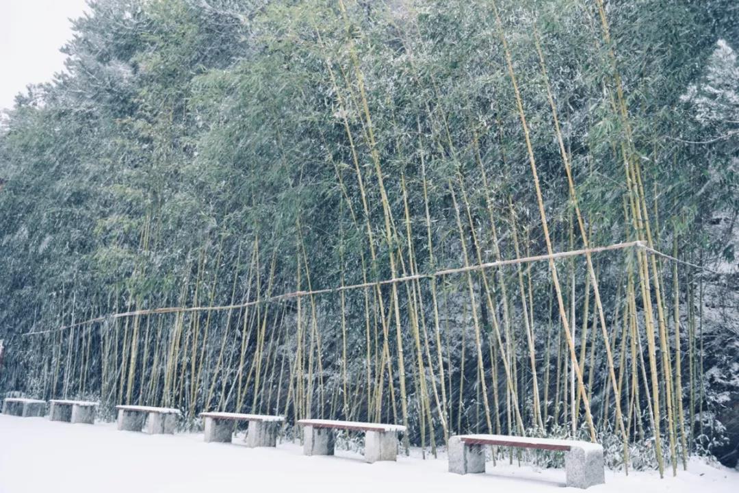 天河大峡谷2019年入冬后第一场雪来了！