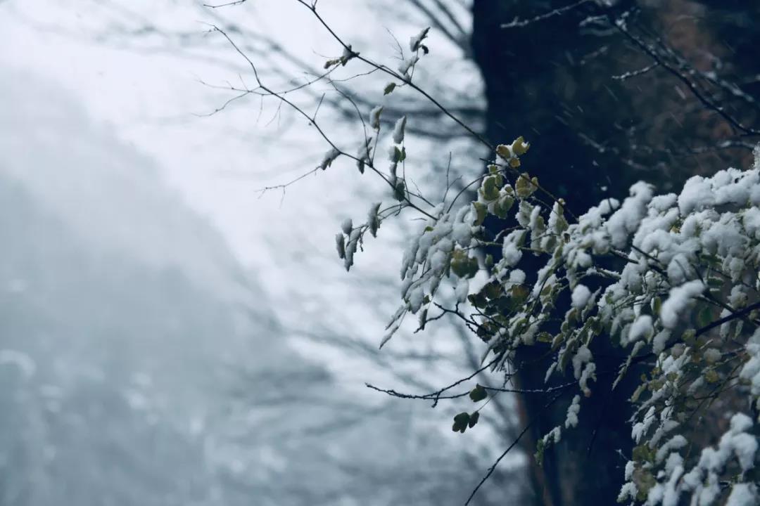 天河大峡谷2019年入冬后第一场雪来了！