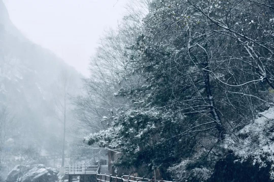 天河大峡谷2019年入冬后第一场雪来了！