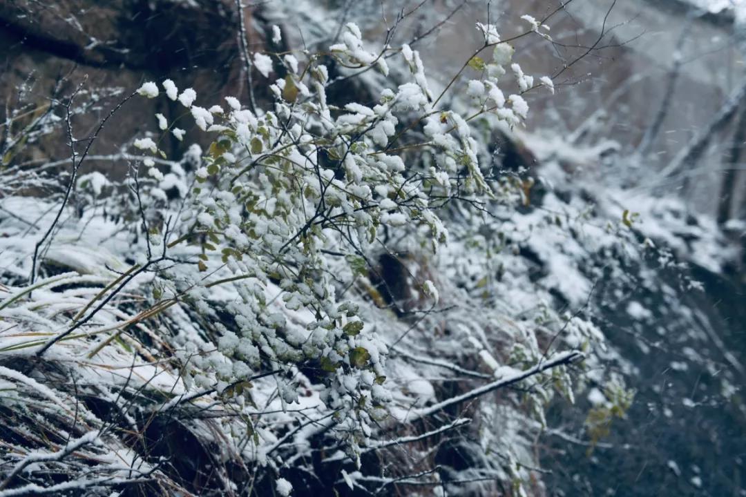 天河大峡谷2019年入冬后第一场雪来了！