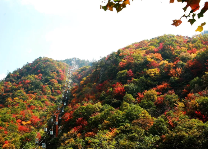 西峡县创建老界岭国家级旅游度假区誓师大会隆重举行! 西峡县创建老界岭国家级旅游度假区誓师大会隆重举行!