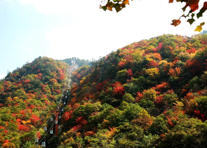 西峡县创建老界岭国家级旅游度假区誓师大会隆重举行！