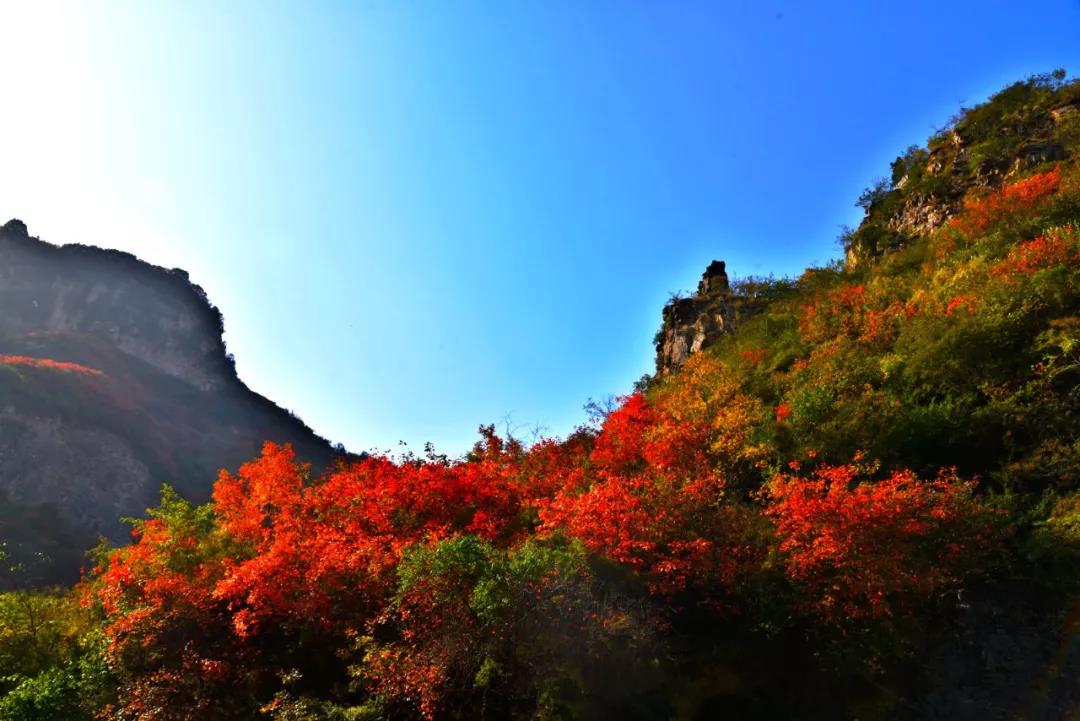 深秋初冬,邂逅最美浮戏山 深秋初冬,邂逅最美浮戏山