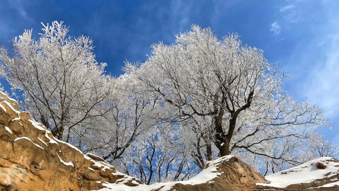 雪后老君山，惊艳你的美！