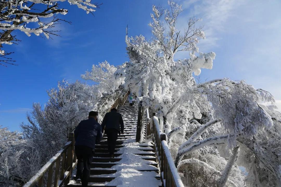雪后老君山，惊艳你的美！