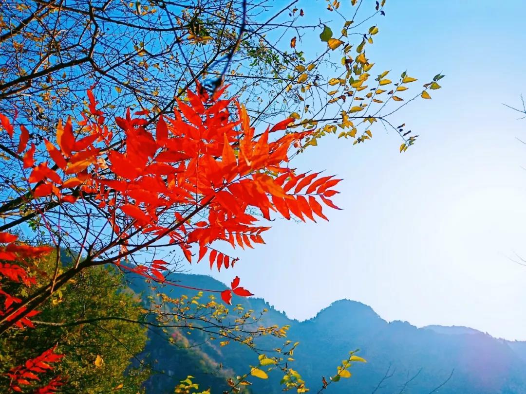 冬韵渐浓,浮戏山与你一起走进冬天! 冬韵渐浓,浮戏山与你一起走进冬天!
