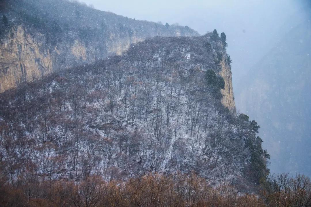 下大雪的茱萸峰美得不像话！