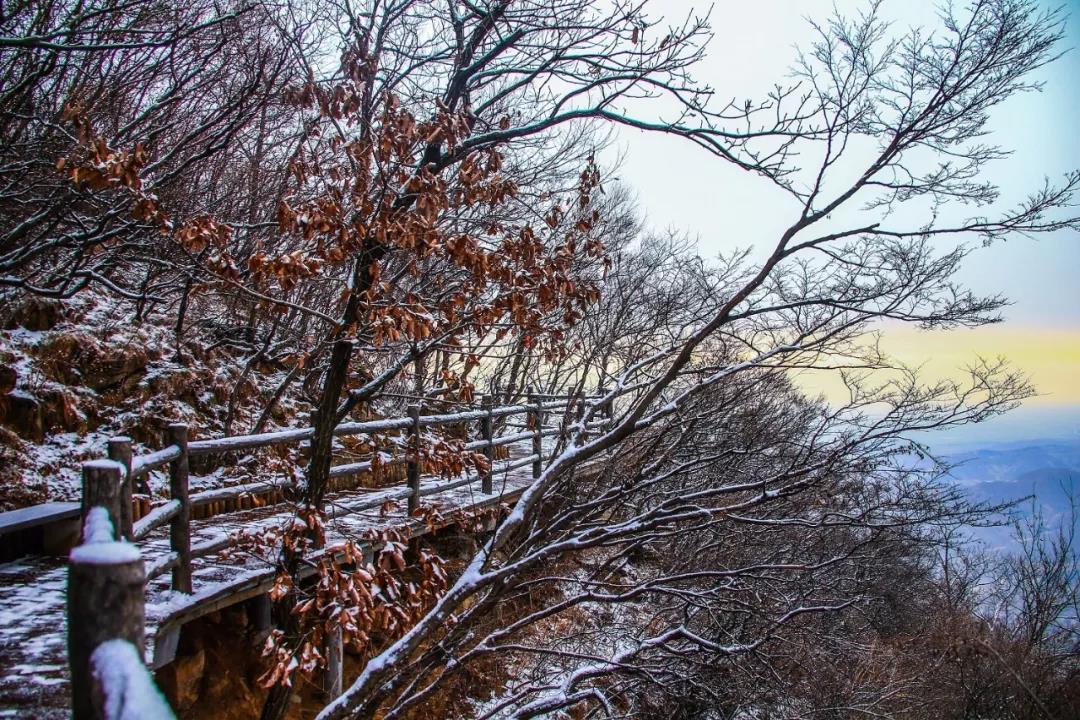 下大雪的茱萸峰美得不像话！