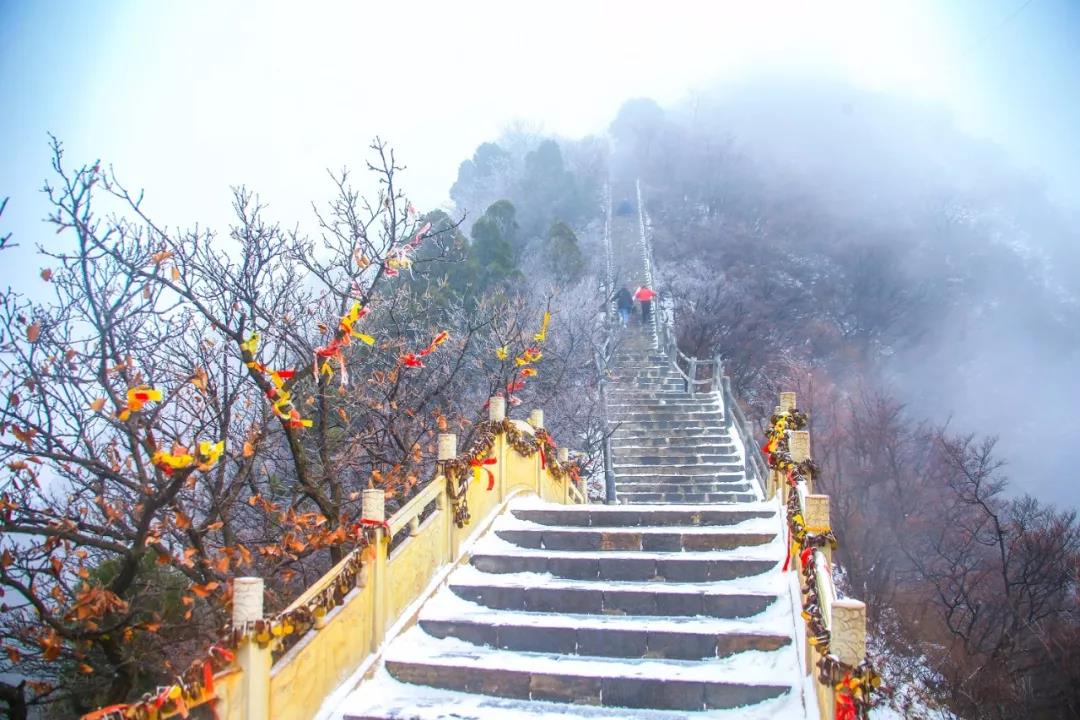 下大雪的茱萸峰美得不像话！